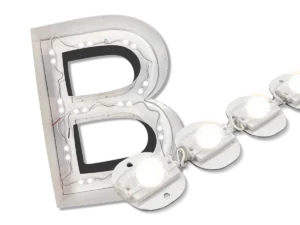 Populated channel letter insert fitted with connected LED sign modules.